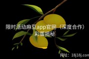 限时活动麻豆app官网（深度合作）彩蛋揭秘