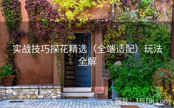 实战技巧探花精选（全端适配）玩法全解