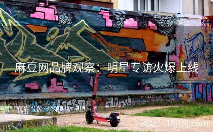 麻豆网品牌观察：明星专访火爆上线