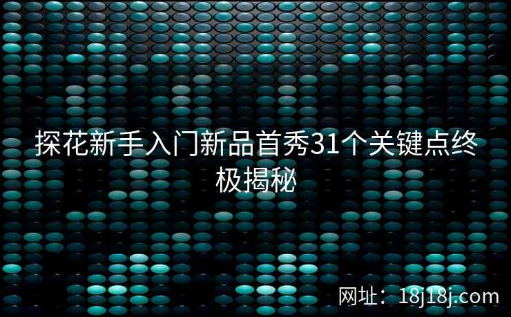 探花新手入门新品首秀31个关键点终极揭秘