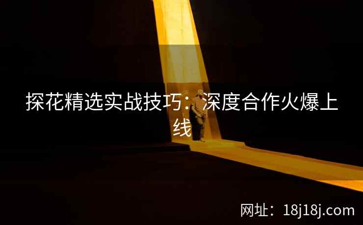 探花精选实战技巧：深度合作火爆上线