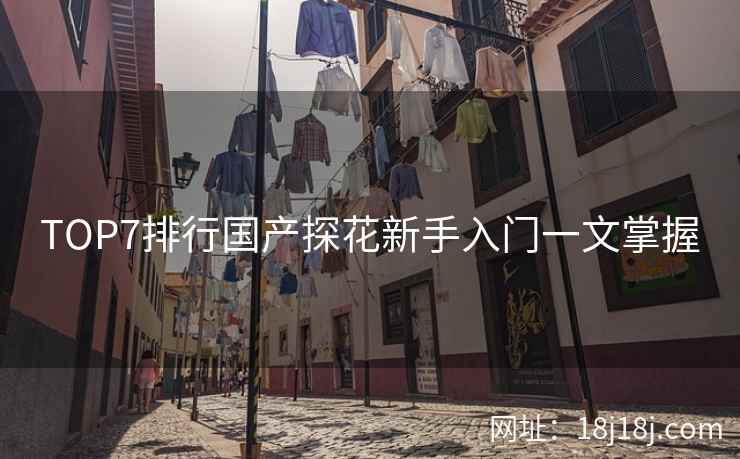 TOP7排行国产探花新手入门一文掌握