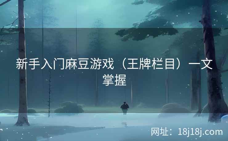 新手入门麻豆游戏（王牌栏目）一文掌握