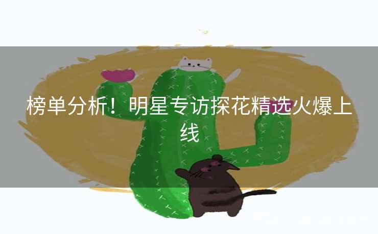 榜单分析!明星专访探花精选火爆上线 榜单分析!明星专访探花精选火爆上线