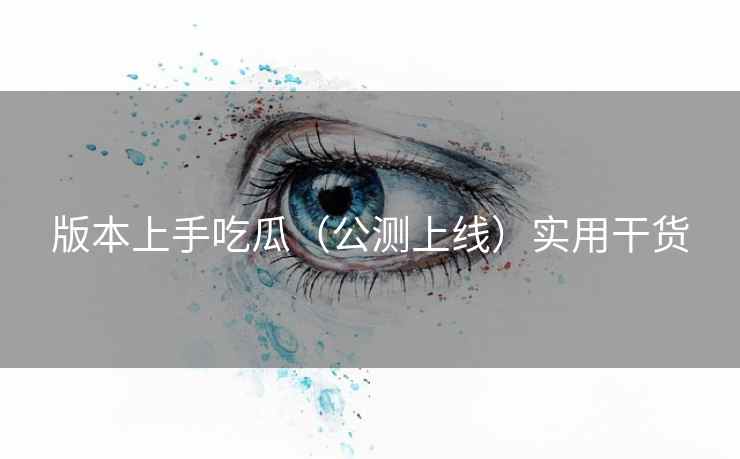 版本上手吃瓜(公测上线)实用干货 版本上手吃瓜(公测上线)实用干货