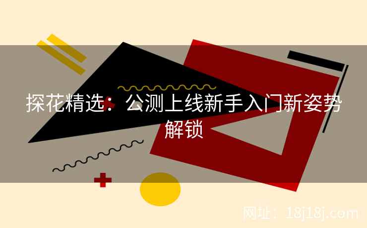探花精选:公测上线新手入门新姿势解锁 探花精选:公测上线新手入门新姿势解锁