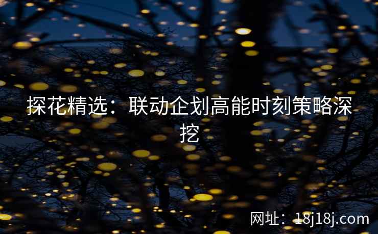 探花精选:联动企划高能时刻策略深挖 探花精选:联动企划高能时刻策略深挖